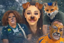 Memes y mejores TikToks sobre los therian que se volvieron virales