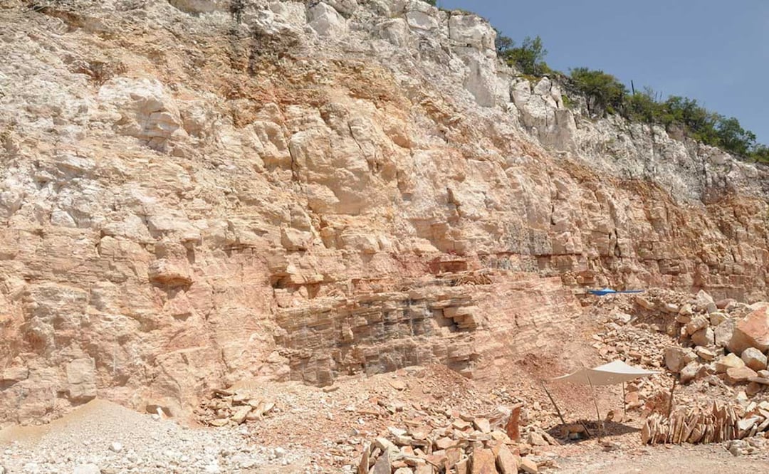 En Pie de Vaca se encuentran huellas de diversos mamíferos que pertenecen a la era Cenozoica | Foto: Flickr