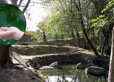 Estos son los parques de Lomas de Angelópolis cerrados por inundaciones