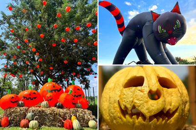 Descubre el Pueblo Mágico con campo de calabazas, un destino favorito en Halloween