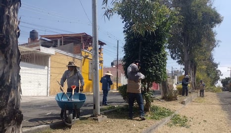 Realiza Gobierno de la Ciudad labores de mantenimiento y limpieza en colonias de la ciudad