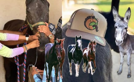 Qué ha ocurrido en Cuacolandia tras la muerte de Elena Larrea