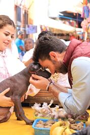 Rodrigo Abdala señala que la protección a la vida animal empieza por la educación