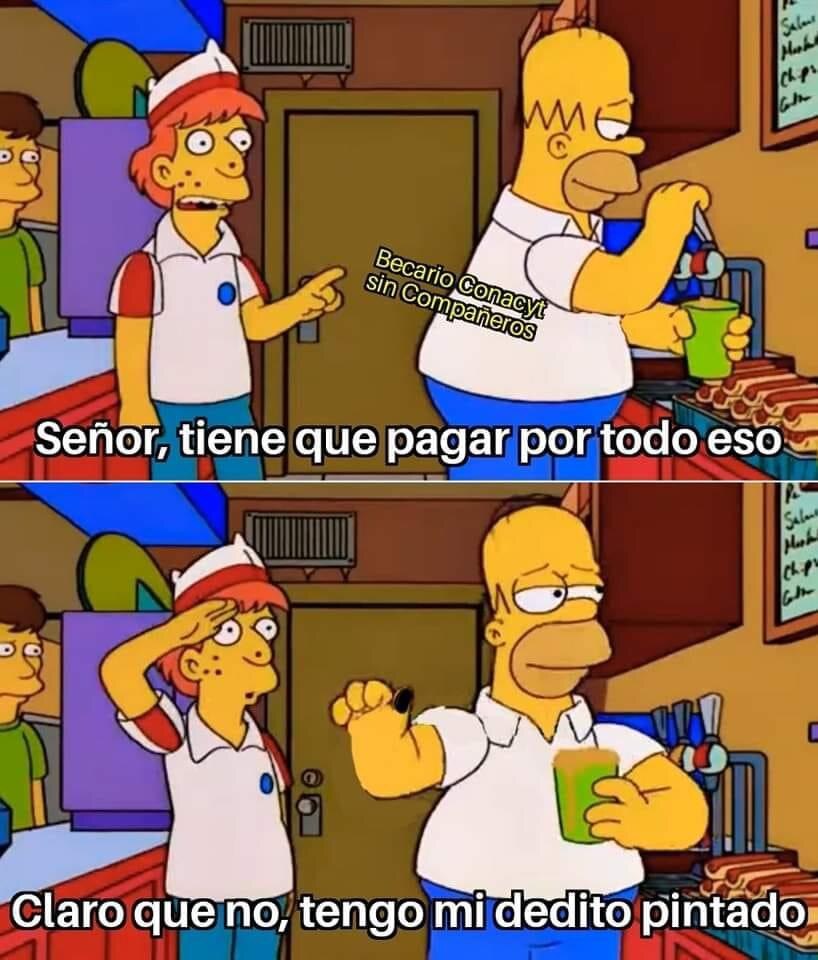 Memes de las Elecciones 2024 inundan las redes sociales | Canvas