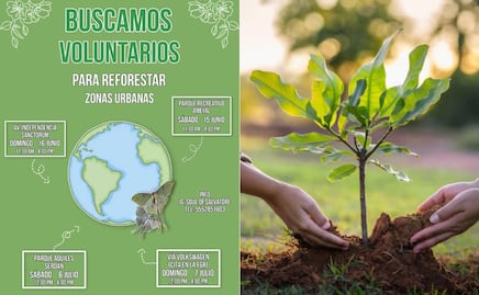 Nenis BUAP buscan voluntarios para reforestar zonas urbanas de Puebla