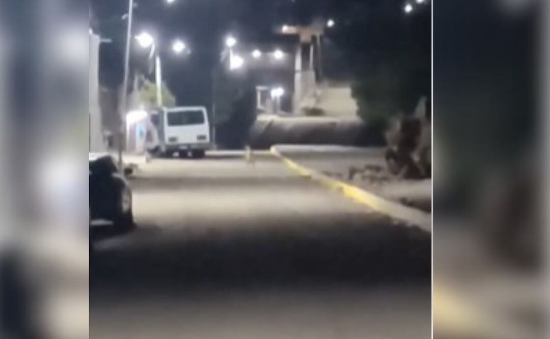 En las imágenes se observa a dos extrañas criaturas cruzando de un lugar a otro | Foto: Video redes sociales