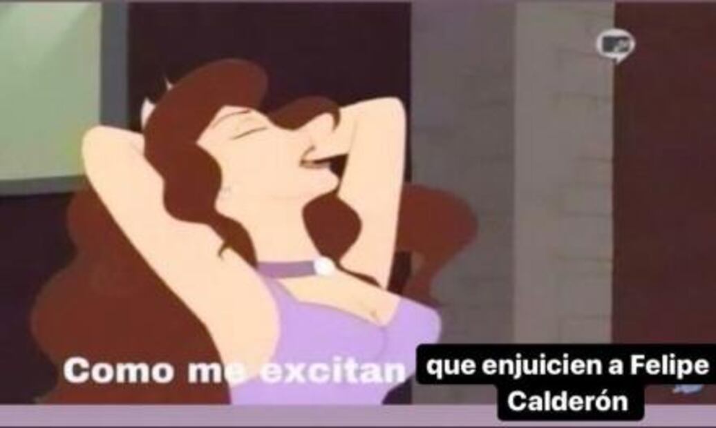 Los mejores memes de la Consulta Popular