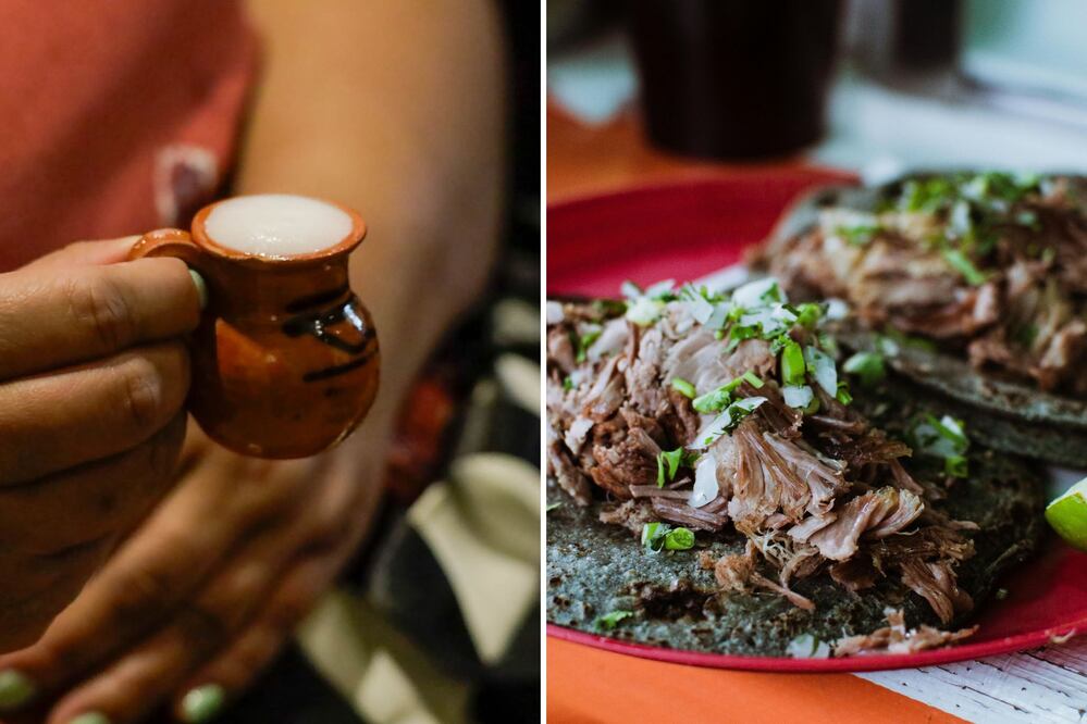 La Feria del Pulque y la Barbacoa en CDMX es gratuita | Foto: EsImagen / Pexels