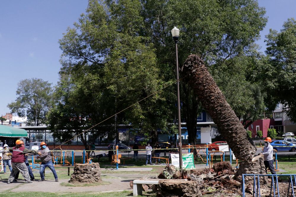 Imagen: Agencia Enfoque para El Universal Puebla