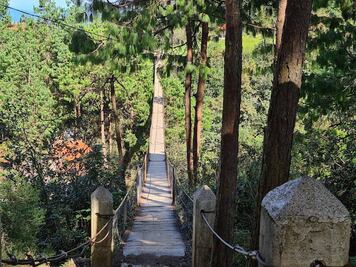 Cinco parques ecoturísticos en Puebla para disfrutar en estas vacaciones