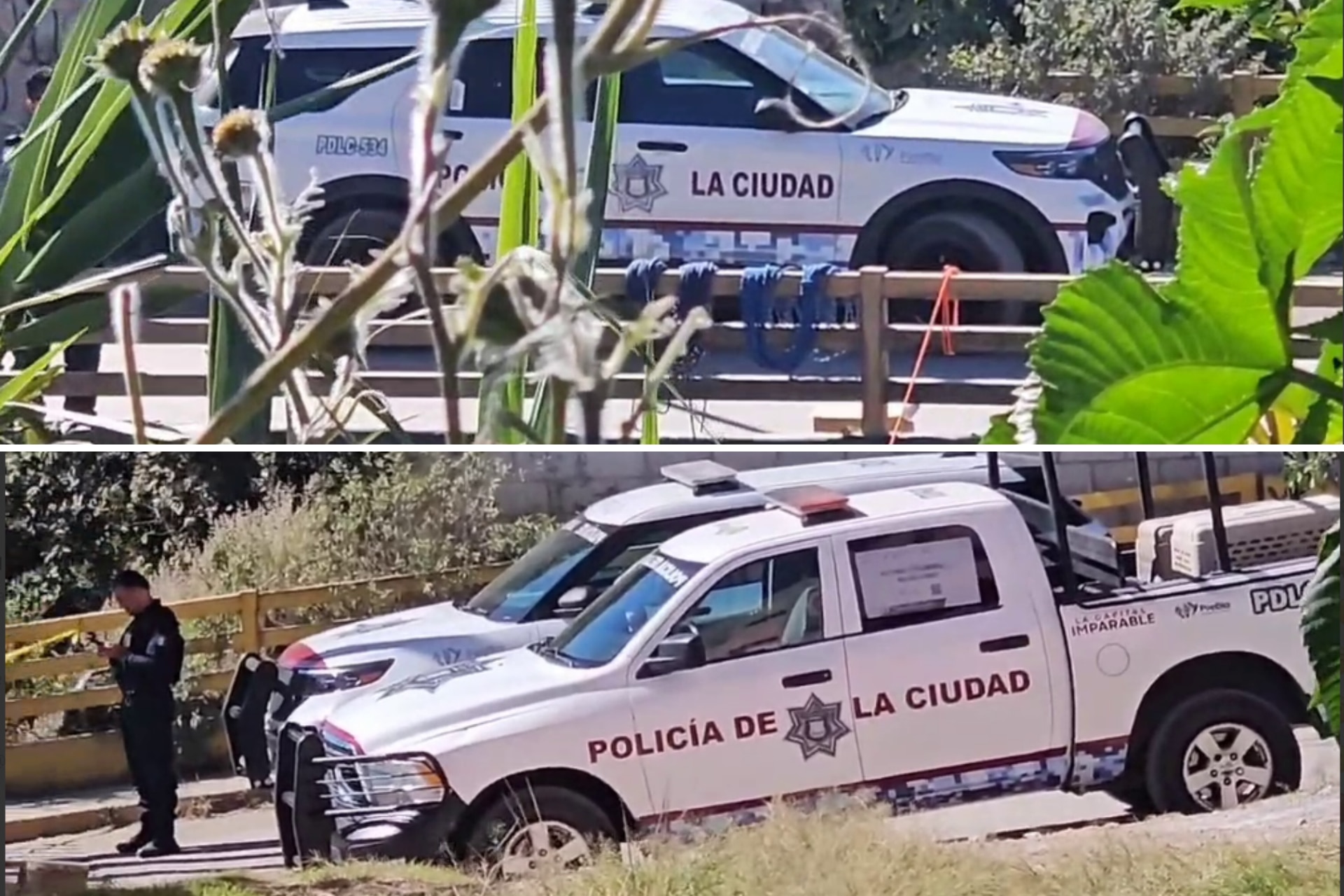 Encuentran cabeza humana de mujer en barranca de La Resurrección
