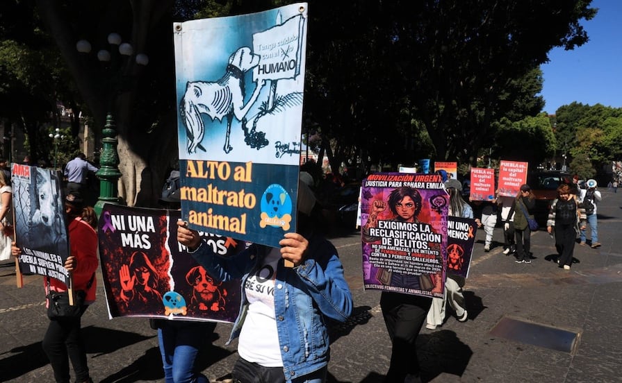 Exigen justicia por Sahara Emilia y que agresión sea investigada como intento de homicidio