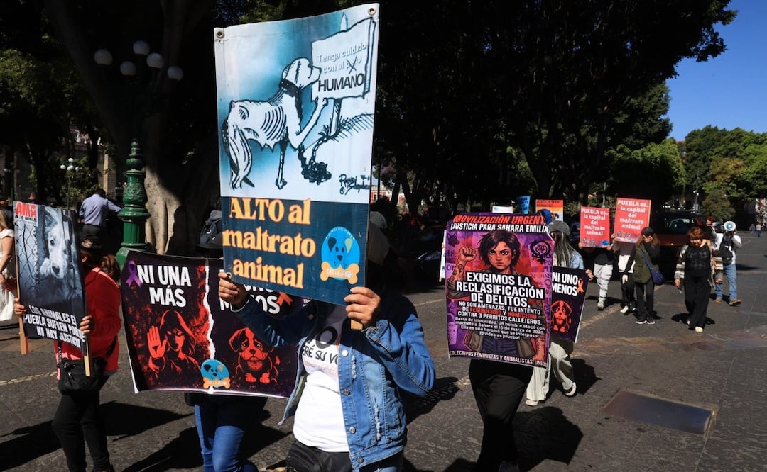 Colectivos y ciudadanos marcharon por Sahara Emilia | Foto: EsImagen