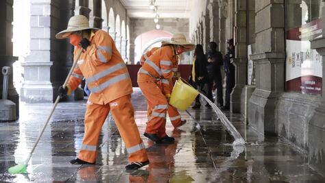 Naranjitas trabajando