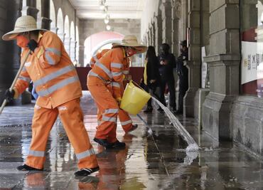 Naranjitas trabajando