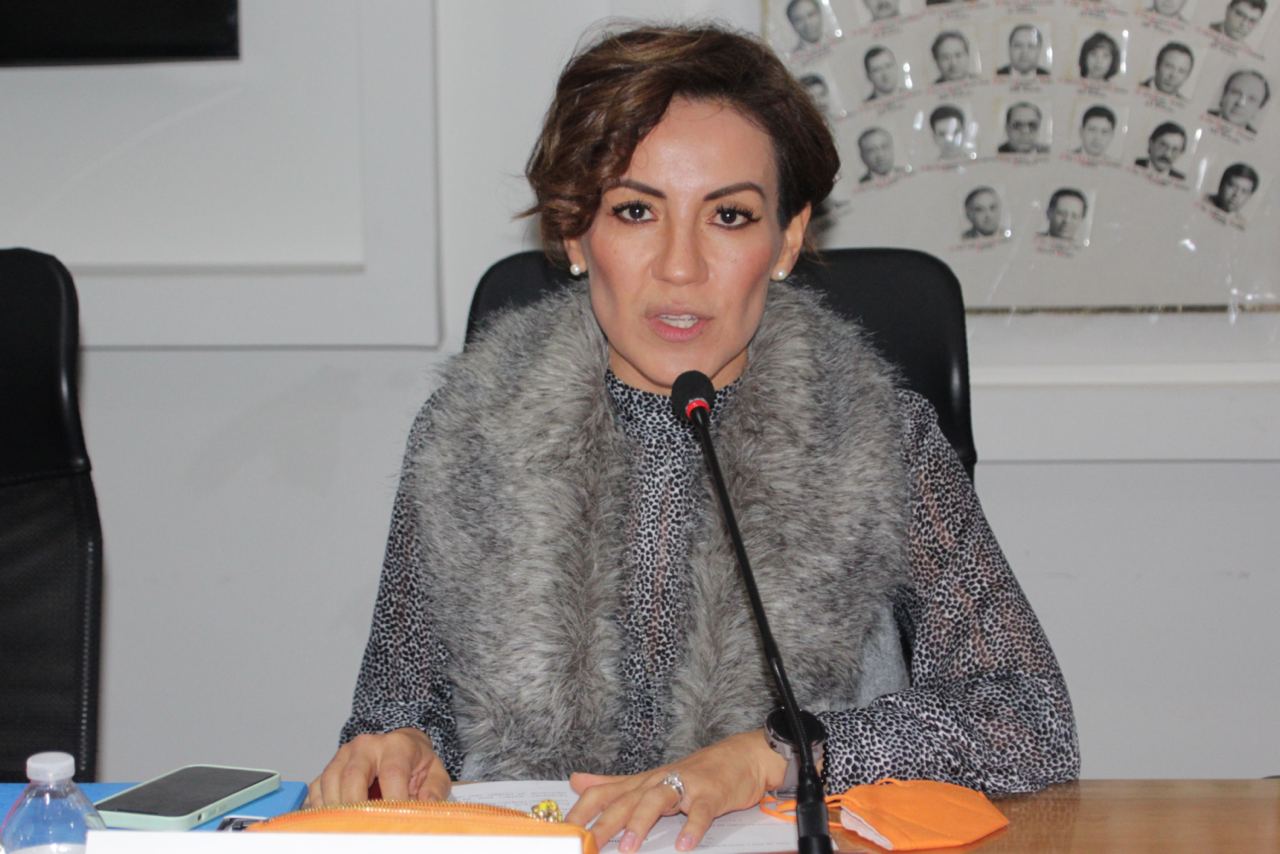 El aborto en Puebla "va porque va”,  asegura Mónica Silva