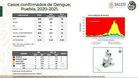 Día Internacional contra el dengue: en Puebla va a la baja