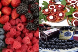 Cómo llegar fácil y barato a la Feria de las Berries 2026 en Puebla