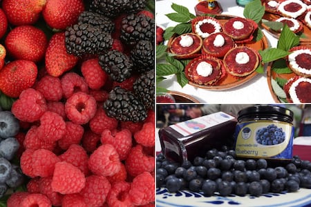 Cómo llegar fácil y barato a la Feria de las Berries 2026 en Puebla