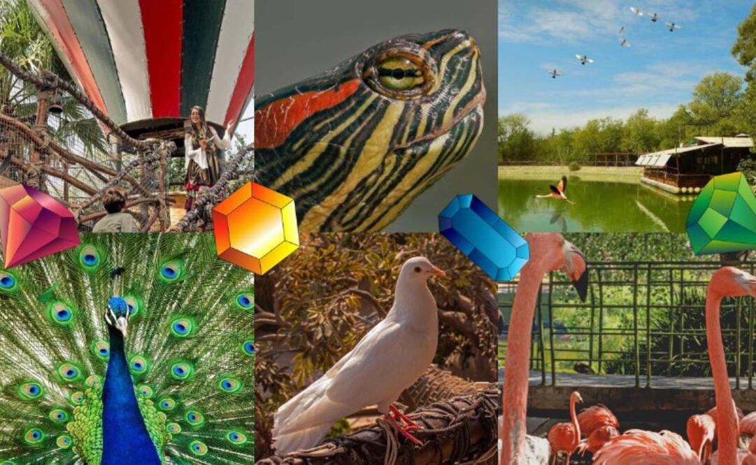 Regularmente la entrada tiene un costo general de 287 pesos / Foto: Arboterra y Pixabay