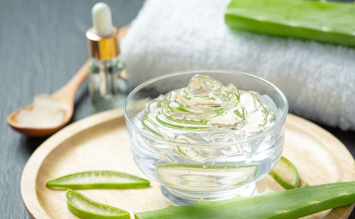 Desvelando los secretos de la crema de Aloe Vera. Fuente: Freepik.