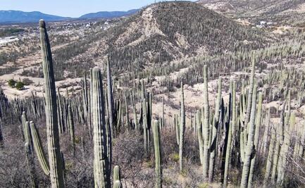 En la prehistoria fue un océano, hoy se le conoce como el valle de los cactus