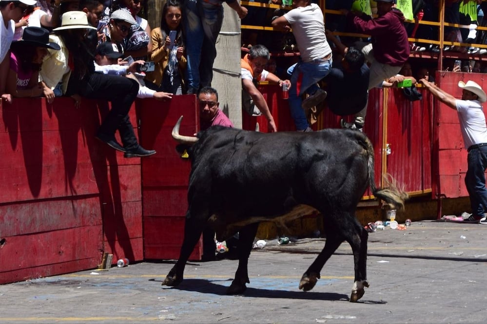 La Huamantlada 2026 se realizará el 22 de agosto | Foto: EsImagen
