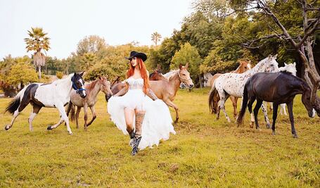 De ser necesario el gobierno de Puebla adoptará a los caballos de Elena Larrea