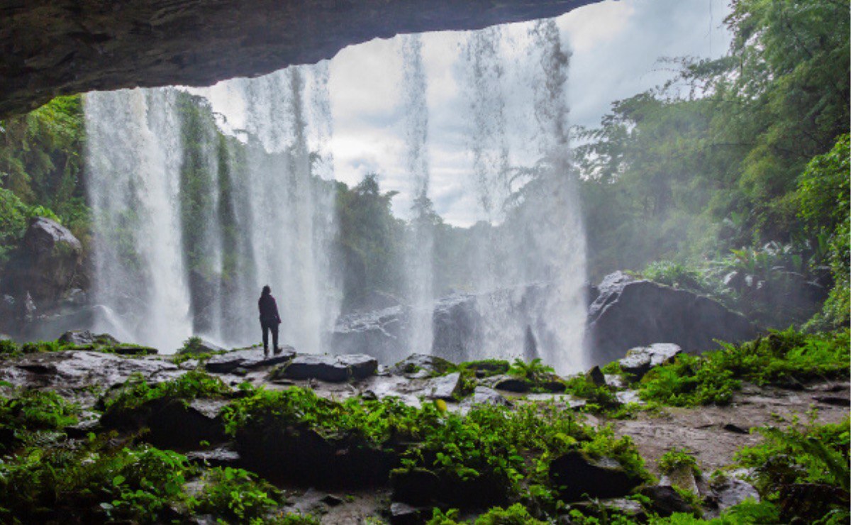 Cascadas de Puebla que parecen set de la película Jurassic Park I Foto: Jorge González Sánchez