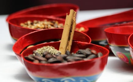 Doce municipios poblanos producen cacao