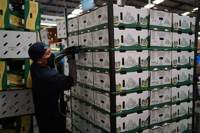 Exportaciones de México ligan tres meses a la baja; Puebla en el Top 10