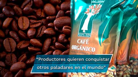 El Café de Cuetzalan que llega hasta Alemania y Japón