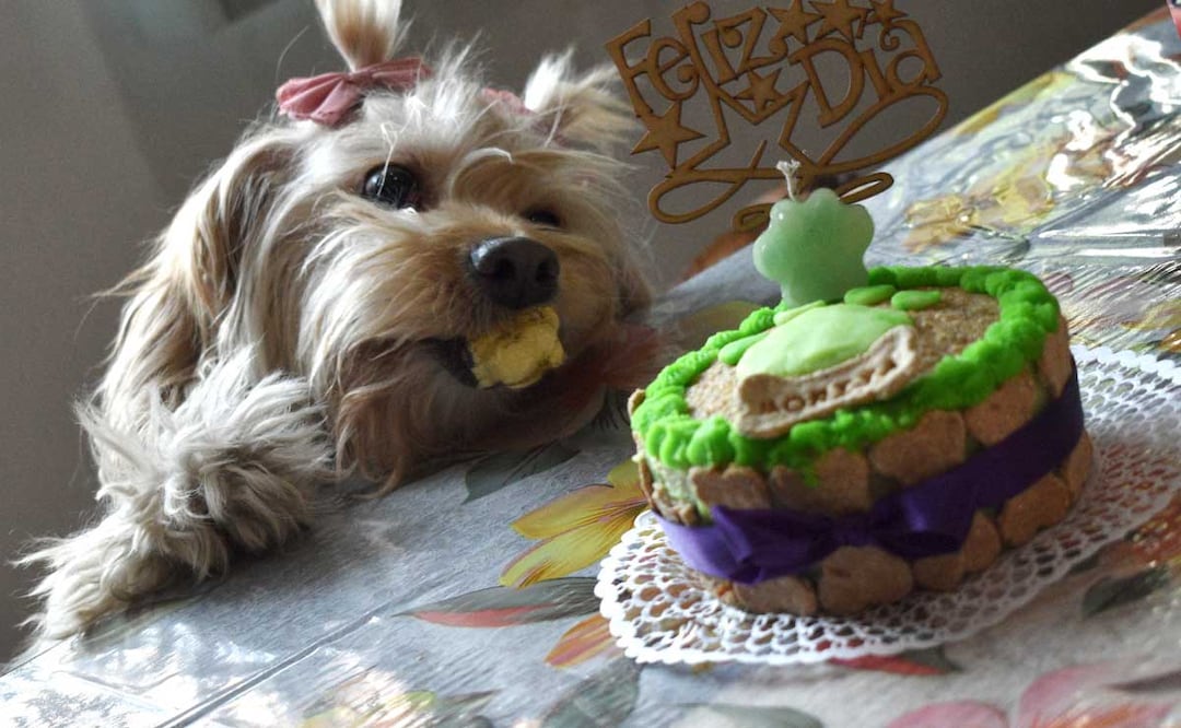 Foto: Agencia Es Imagen para El Universal Puebla