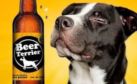 Chelas para perros, así puedes aliviar el calor de tus lomitos en Puebla