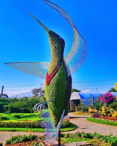 El Jardín Mágico de Atlixco te hará sentir en un cuento | Angeles Bretón