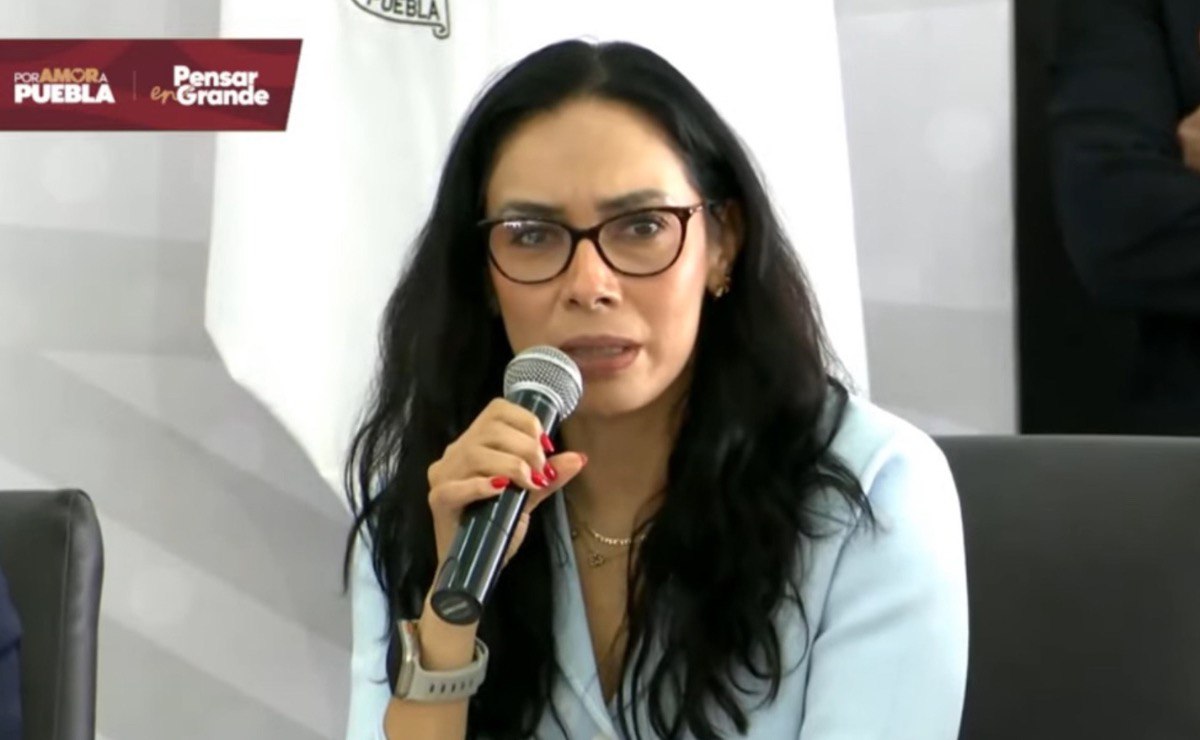 Rebeca Bañuelos, secretaria de Medio Ambiente, Desarrollo Sustentable y Ordenamiento Territorial | Foto: Captura de video