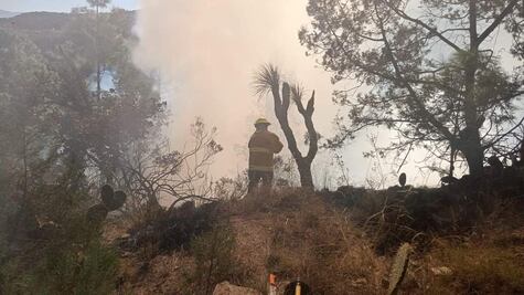 Chignahuapan, Libres y Huejotzingo registran incendios este 18 de noviembre