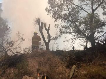 Chignahuapan, Libres y Huejotzingo registran incendios este 18 de noviembre