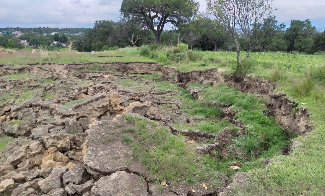 Foto: Gritón Digita / Facebook