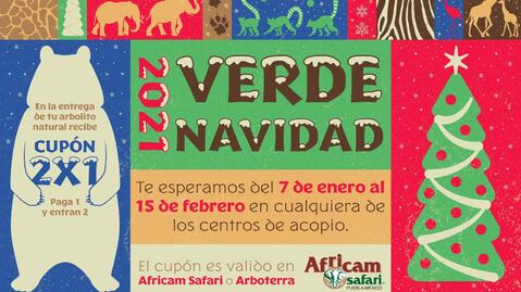 Africam Safari te regala entradas al reciclar tu árbol de navidad
