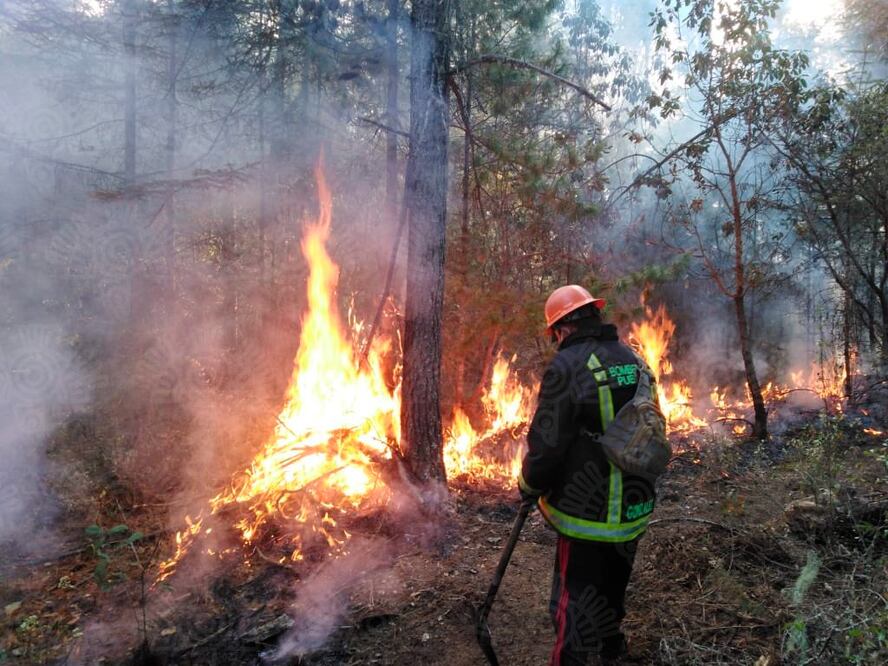Inician labores para sofocar incendio en Ixtacamaxtitlán, Puebla