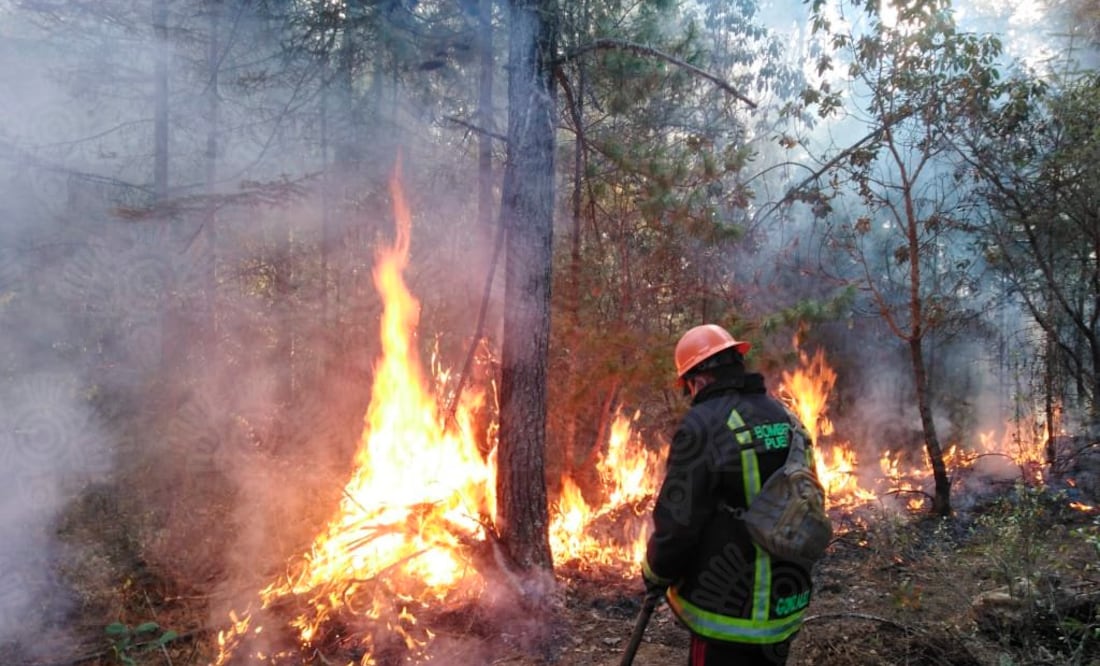 Inician labores para sofocar incendio en Ixtacamaxtitlán, Puebla