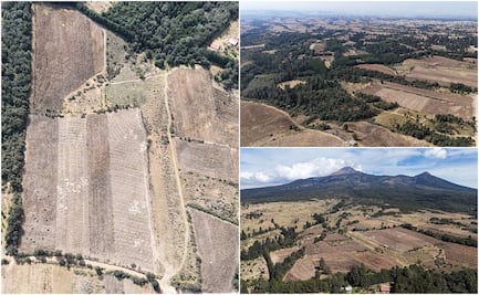 Aclara Gobierno Estatal que continúa en elaboración el proyecto ejecutivo del Ecoparque La Malintzi