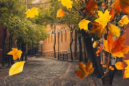 ¿Cuándo empieza el otoño en México?
