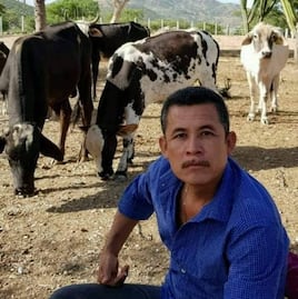 Emboscan y matan a cuatro hombres en Acatlán de Osorio, uno de ellos sería regidor