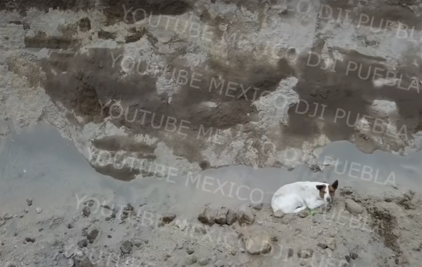 Perrito salió ‘por su propia pata’ del socavón o está en las cavernas: autoridades