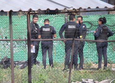 Diccionario policiaco. Así cambió el lenguaje por la violencia