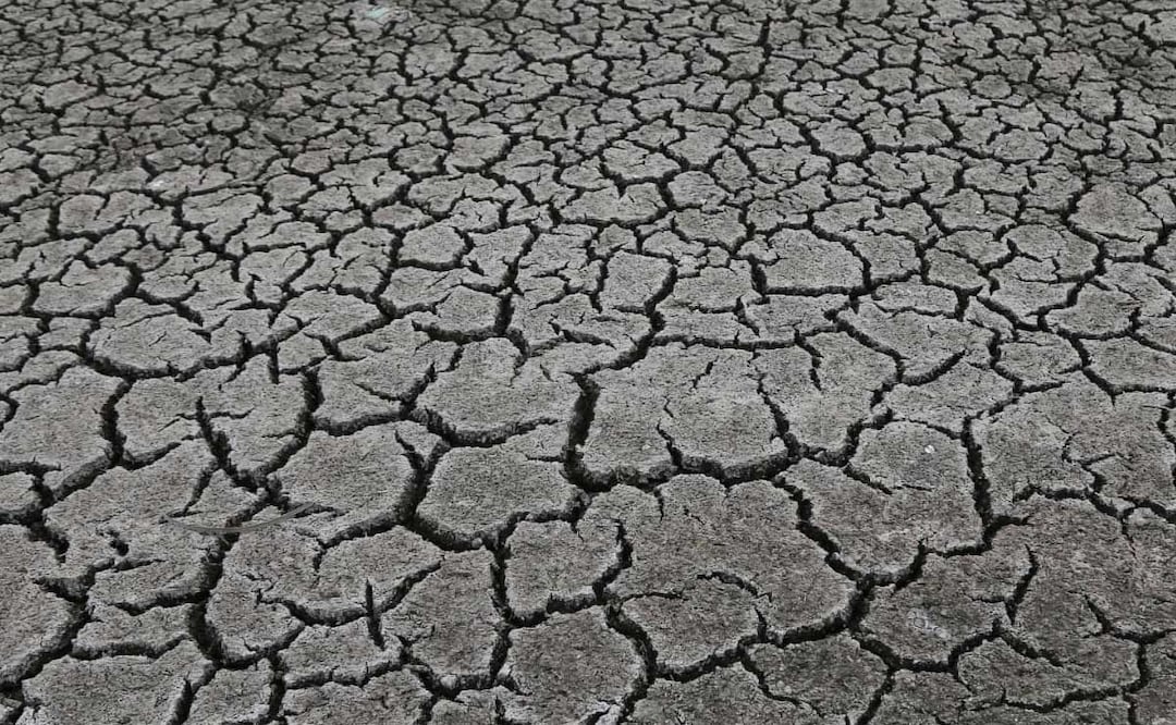 Foto: agencia Es Imagen para El Universal Puebla