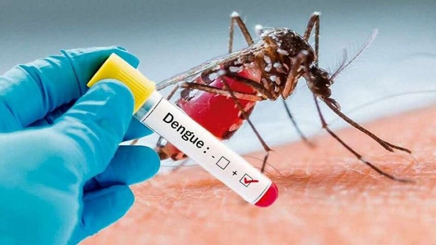 Busca atención médica si experimentas síntomas como fiebre, náuseas o sarpullido, con el fin de recibir el tratamiento adecuado. 

Foto: Producción El Universal Puebla