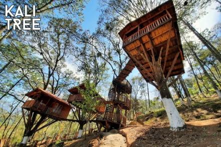 Cabañas en Puebla. Escápate a una casa del árbol en Zacatlán